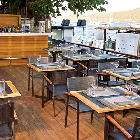 Gizia 5 Göltürkbükü