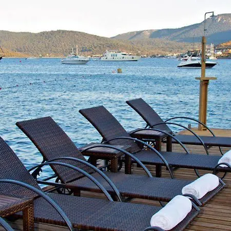 Gizia 5 Guest house *