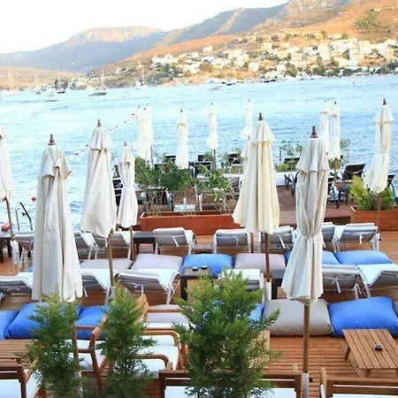 Gizia 5 Гостевой дом