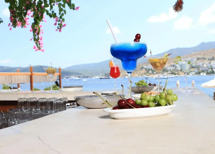 Gizia 5 בית הארחה *