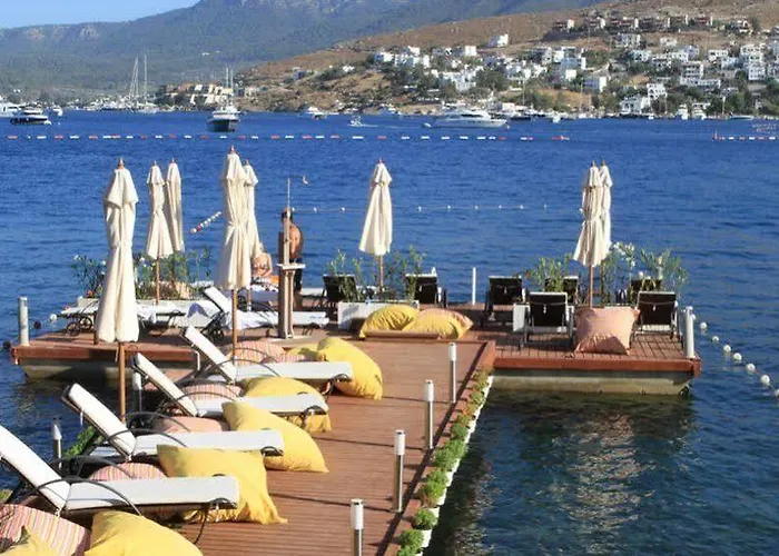 בית הארחה Gizia 5 גולטורקבוקו