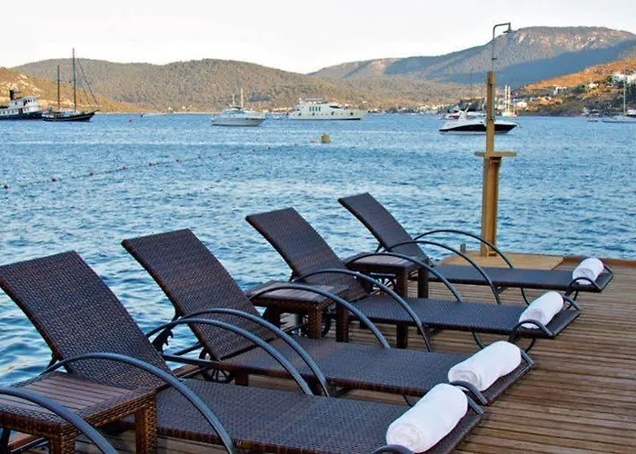 Gizia 5 בית הארחה *