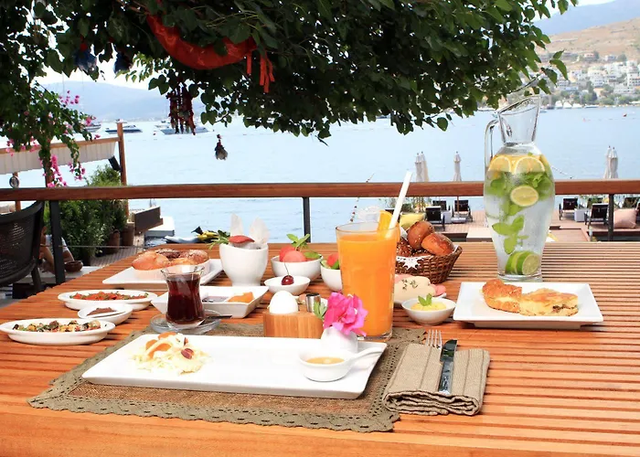 Gizia 5 גולטורקבוקו