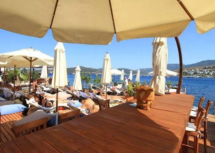 בית הארחה Gizia 5 *