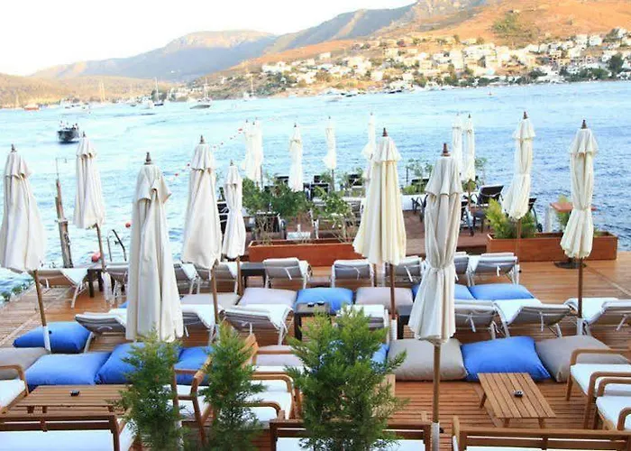 Gizia 5 בית הארחה